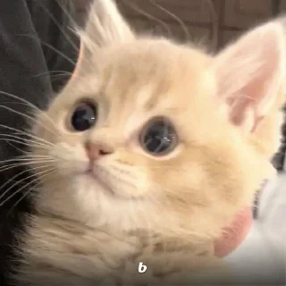 😛 emoji на все времена Telegram sticker 24 of 80