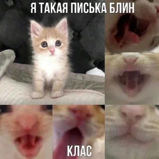 🌟 emoji бу Telegram sticker 5 of 58