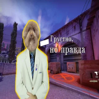 😢 emoji Самый адекватный стикерпак Telegram sticker 15 of 17