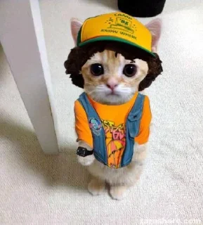 😺 emoji ХАГИ ВАГИ ЗАБИВНОЙ Telegram sticker 4 of 78