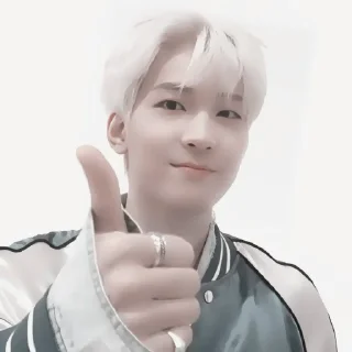 🎂 emoji wonwoo : hb2u ! fr @lomicor 🎂 Telegram sticker 15 of 70