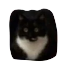 Sticker from Stickers by Potapov