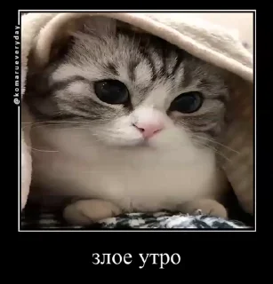 Sticker from Что угодно (Оксюморон)
