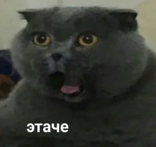 😧 emoji не але Telegram sticker 18 of 120