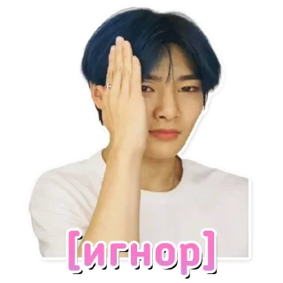 🤐 emoji Stray Kids 2.0 @hello_unnie Telegram sticker 16 of 64
