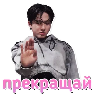 ⛔️ emoji Stray Kids 2.0 @hello_unnie Telegram sticker 11 of 64