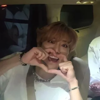 ❤️ emoji stray kids Telegram sticker 19 of 120