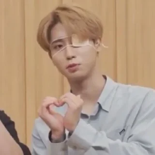 ❤️ emoji stray kids Telegram sticker 20 of 120