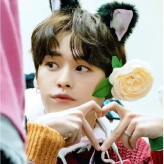 ❤️ emoji stray kids Telegram sticker 16 of 120