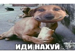 😜 emoji хуесосы сюда Telegram sticker 14 of 69