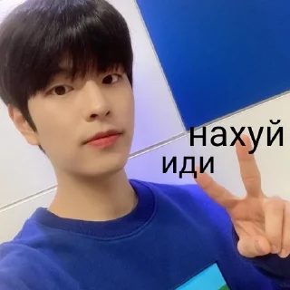 🤬 emoji стрэй кидсы♡ Telegram sticker 12 of 36