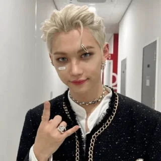 🤟 emoji стрэй кидсы♡ Telegram sticker 8 of 36