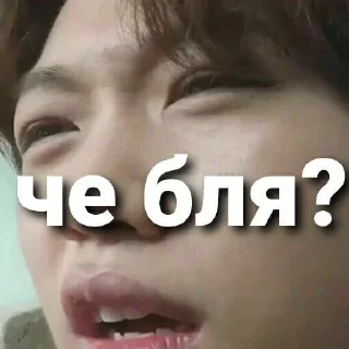 🤨 emoji Стрей кидсы всегда правы Telegram sticker 15 of 28