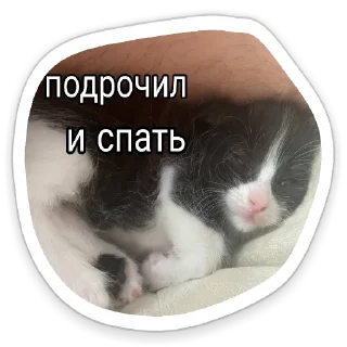 😴 emoji Личка Черта Telegram sticker 3 of 11