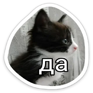 👍 emoji Личка Черта Telegram sticker 11 of 11