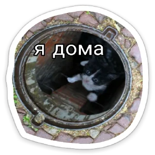 🙂 emoji Личка Черта Telegram sticker 9 of 11