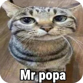 Sticker from Мшк Фрэдэрэк пак