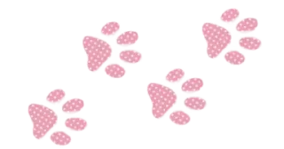 🎀 emoji @kisullina 3 Telegram sticker 15 of 82