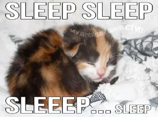 🌟 emoji Кеты, котяры, шкеты Telegram sticker 9 of 63