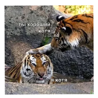 🥰 emoji @nks_121 личный стикер пак Telegram sticker 10 of 59