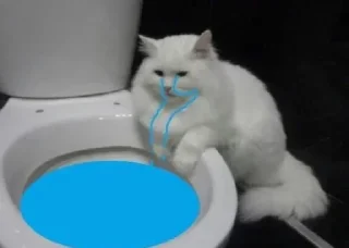 😞 emoji дерьмище от @shit_amare Telegram sticker 16 of 59