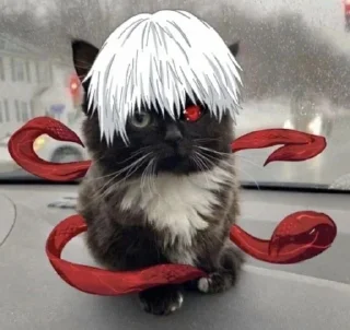 😐 emoji Ghoul cat Telegram sticker 8 of 13
