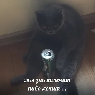 😢 emoji Котя💘 Telegram sticker 5 of 58