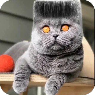 🐱 emoji folk vallley Telegram sticker 4 of 9