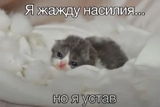🌟 emoji его разум затуманен мыслями об ультранасилии Telegram sticker 8 of 21