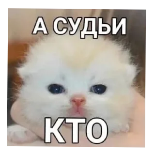 🐱 emoji его разум затуманен мыслями об ультранасилии Telegram sticker 20 of 21