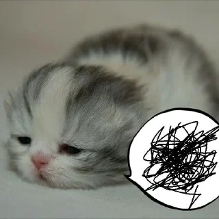 ☠ emoji котяры!!! Telegram sticker 14 of 79