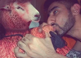 🐑 emoji футбольный мячик премиум Telegram sticker 15 of 65