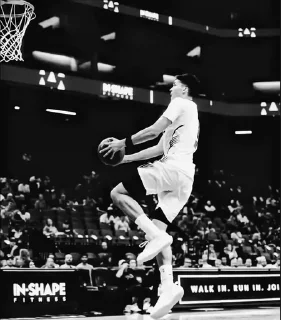 🐘 emoji Brooklyn Nets @bklynnetss Telegram sticker 19 of 26