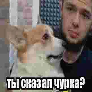 😳 emoji ММА чурка Telegram sticker 13 of 16