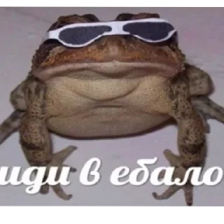 🐸 emoji совок 2 Telegram sticker 12 of 60