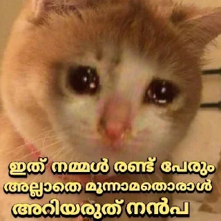 😿 emoji @PURRFECT_HUMAN's Pack Telegram sticker 10 of 97