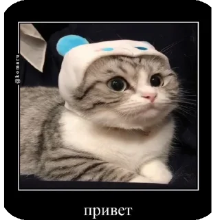 👋 emoji Комару рофлс от @Kozinak_26 Telegram sticker 14 of 40