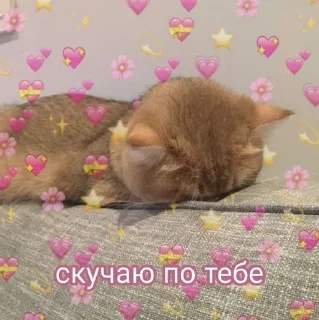 Sticker from 🥺💗