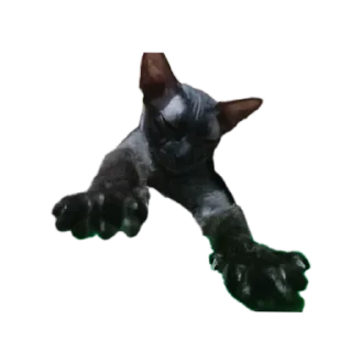 🌟 emoji Всеми любимый Саймон Telegram sticker 11 of 18