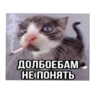 😝 emoji жески бро Telegram sticker 19 of 27