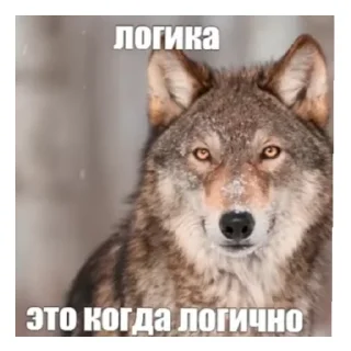 😄 emoji Мэмы Telegram sticker 14 of 24