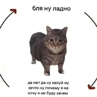 🐱 emoji Тульский пряник Telegram sticker 18 of 75