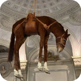 🐎 emoji Димон и Нарик Telegram sticker 3 of 7