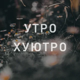 ☀️ emoji Вайсманяткин вайб Telegram sticker 16 of 38