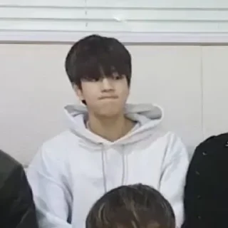 🐶 emoji →Kim Seungmin | @SeungminSKZ Telegram sticker 2 of 48