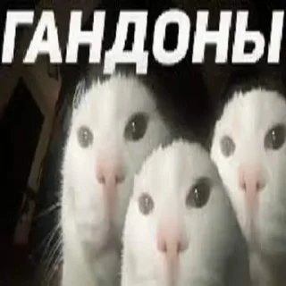 Sticker from Гандоны (пошёл нахуй)
