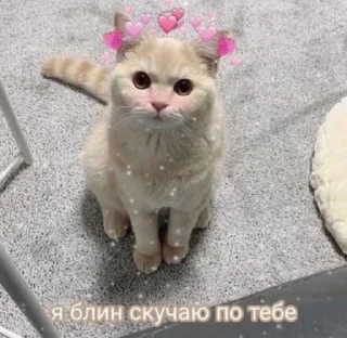 💞 emoji карыч💩 Telegram sticker 9 of 14