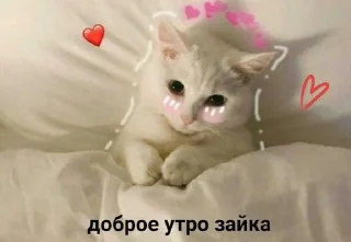 ✋ emoji карыч💩 Telegram sticker 14 of 14