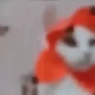 Sticker from Мемы🤫🧏‍♂️