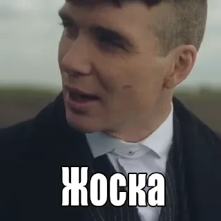 😎 emoji Заиьалсяя Telegram sticker 17 of 34